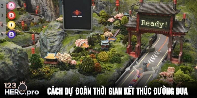 Đa dạng các loại cược khi chơi đua bi