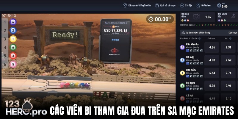 duong-dua-emirates-co-6-bi-tham-gia