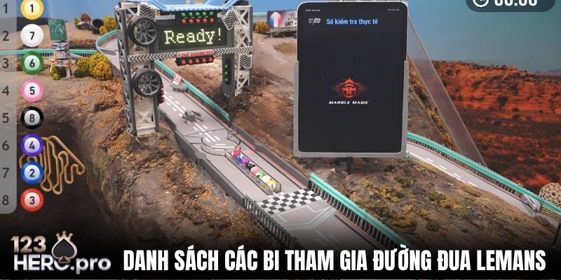 Đường đua Lemans có 8 viên bi tham gia