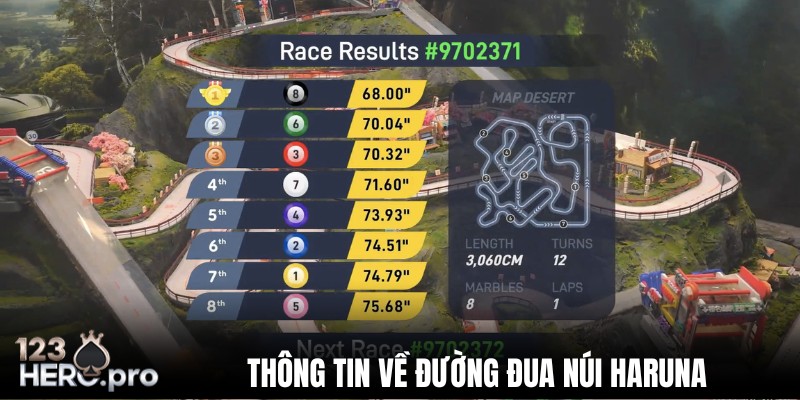 gioi-thieu-chung-ve-duong-dua-nui-haruna