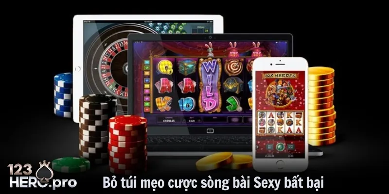 Sòng Bài Sexy - Trải Nghiệm Giải Trí Uy Tín, Tuyệt Vời